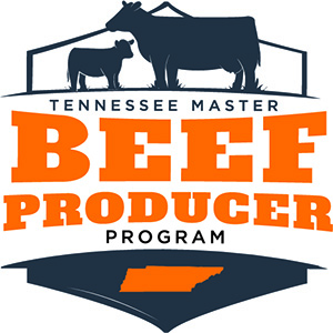 Master Beef Producer