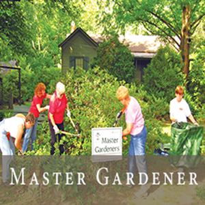 Master Gardener participants trimming bushes and trees 