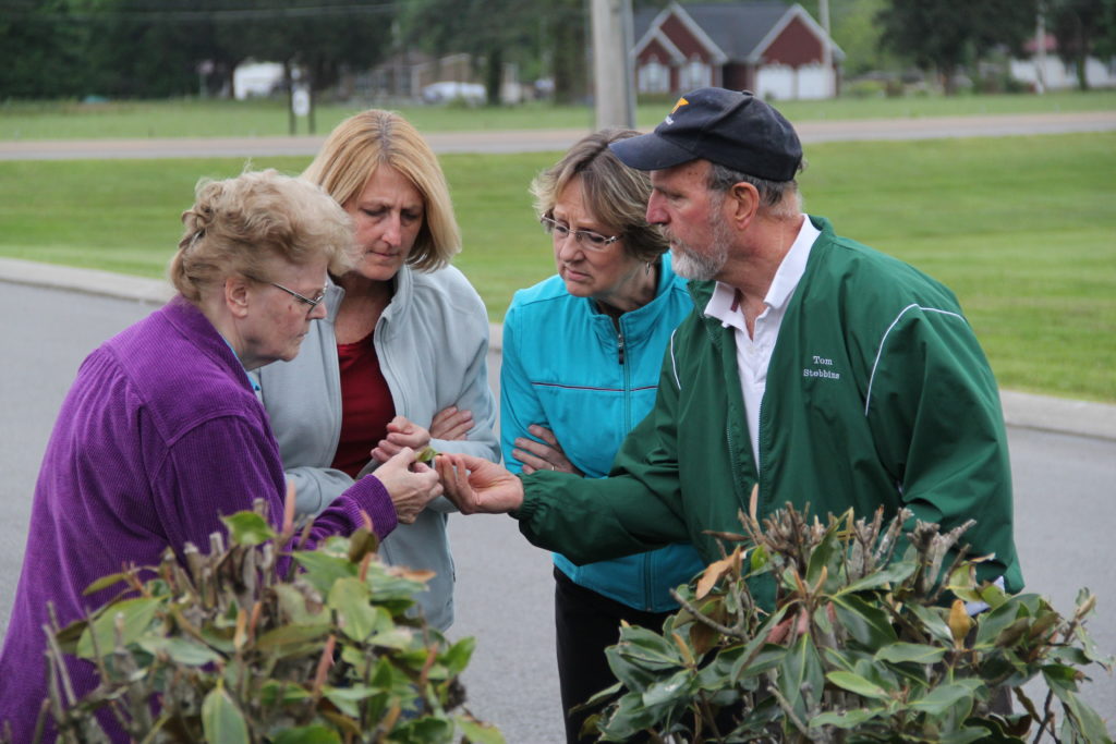 Master Gardener Program Participants Identifying a specimen