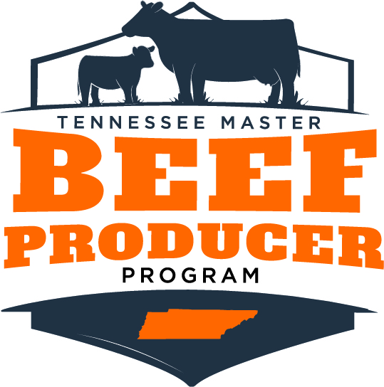 Master Beef Producer logo