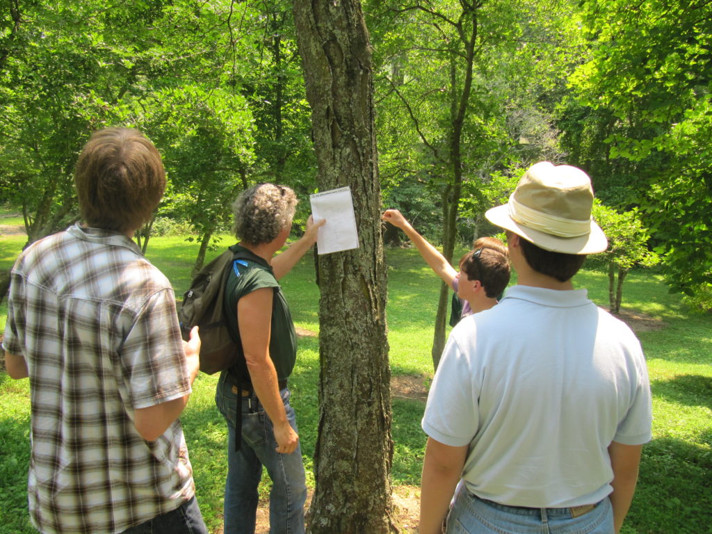 4-H Members practicing forestry judging