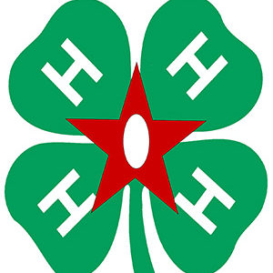 4 H All star logo 