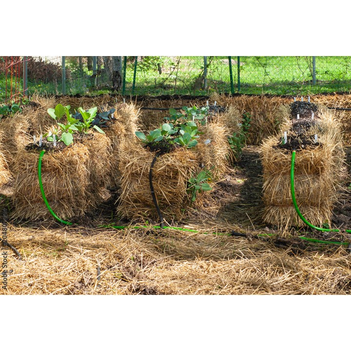 Straw Bale Gardening Instructions – Mother Earth News